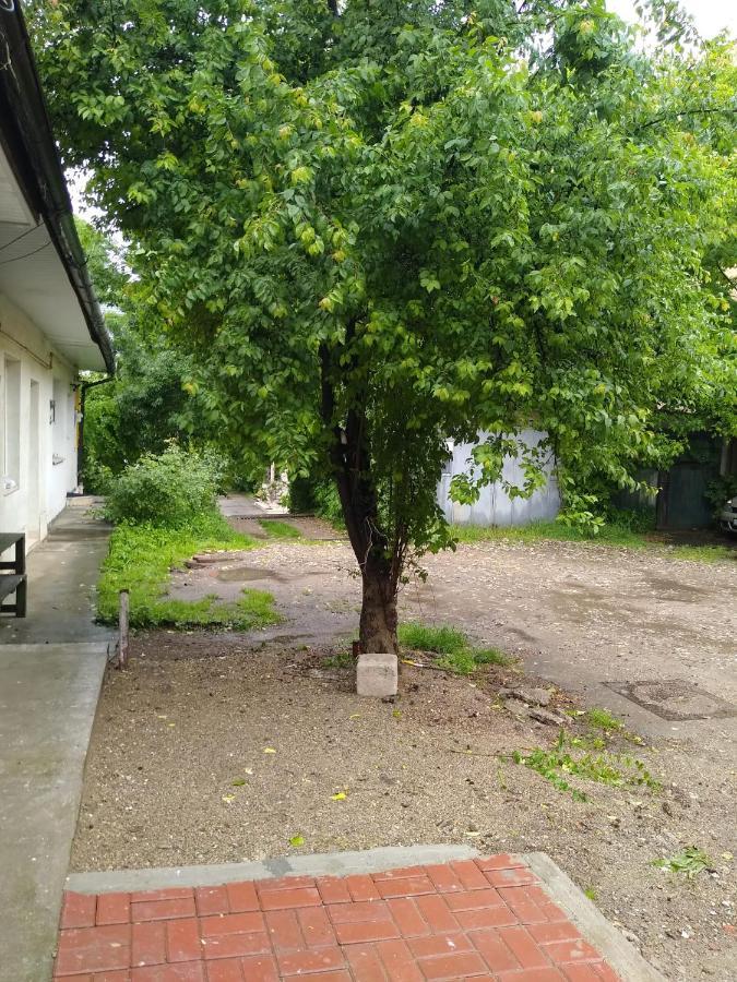 Apartmán Garsoniera In Centru Kluž Exteriér fotografie
